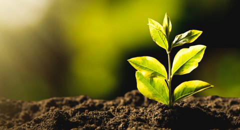 5 tendências na agricultura sustentável para estar atento em 2026 - artigo blog AZV