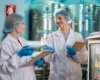 HACCP ou ISO 22000 quais as diferenças e qual faz sentido para a sua realidade profissional- artigo blog azv
