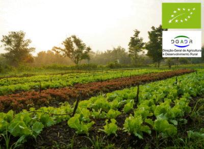 Imagem academia (5) (1)